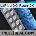 The Golden Root Gold Pill 34